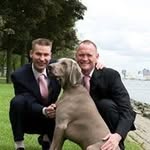 Weimeraner Rich - @richard_groenestein - Instagram