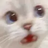 richardgopp - @richardgopp - TikTok