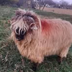 Richard Guide - Facebook