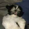 user8424563101701 - @richardguize - TikTok