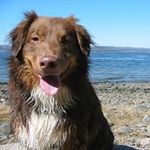 Richard Gundersen - @gundersenrichard - Instagram