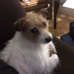 Richard Hafner Sr - @richie359 - Instagram