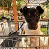 Karel Hage - @richard.hage0 - TikTok