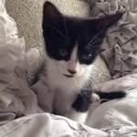 Richard Hake - @richard788316 - Instagram