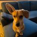 Richard Halfacre II - Facebook