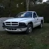 richardhallocks_97dakota - @richardhallocks_97dakota - TikTok