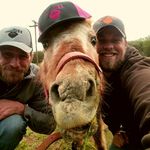 Richard Hames - @hames.horsemanship - Instagram