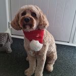 Richard Hands - @ruffbear1965 - Instagram