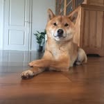 Richard Harbers - @richardharbers - Instagram
