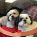 Rick Harpham - Facebook
