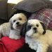 Rick Harpham - Facebook