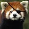 richardhedinger - @richard.hedinger4 - TikTok