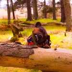 Richard Heggie - @patterdale_1 - Instagram
