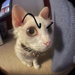 Richard Hellman'ss - @richard.hellmanss - Instagram