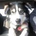 Richard Herd - Facebook