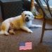 Richard Heyner - Facebook
