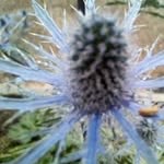 Richard Heys - @heys.richard - Instagram
