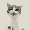 richard.highfill - @richard.highfill - TikTok