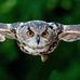 Richard Hild - Facebook