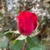 Steve Himelfarb - Facebook