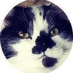 Richard H Ogle - @richard_h_ogle - Instagram
