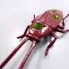 Richard Hole - @richard.hole0 - TikTok
