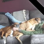 Richard Hole - @todabaxter - Instagram