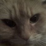 Richard Hollen - @richard.hollen.52 - Instagram
