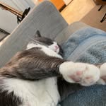 Richard Holler - @holler8271 - Instagram