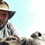 Richard Holstein - @birdrick2 - Instagram