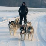 Richard Hönig - @rhonig - Instagram
