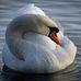Richard Howitt - Facebook