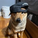 richard huynh - @rich_huynh - Instagram