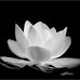 Richard Huynh - Facebook