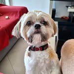 Richard Hyatt - @richardjr6901 - Instagram