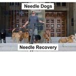 Richard Hyslop - @needledogsmoncton472 - Instagram