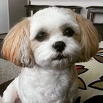Richard Luis Ibarra - @yachtmaster_ii - Instagram