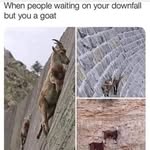 Richard Igel - @igel.richard - Instagram