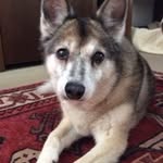 Richard Ihle - @hunti_vodeo.lustig - Instagram