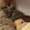 RichardiLera - @richardilera - TikTok