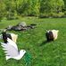 Richard Imboden - Facebook