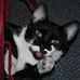 Richard J Imel - Facebook
