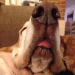 Richard Imeson - @imesonrichard - Instagram
