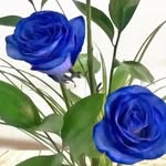 Richard Kimmel - @richardkimmel475 - Instagram