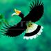 Richard Inchan - Facebook