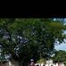Richard Infante - Facebook