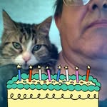 Richard M Ingels - @mjolnir131 - Instagram