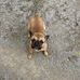 Ricky Inglett - Facebook