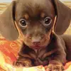 richardinglis657 - @richardinglis657 - TikTok
