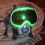 Richard Bryant Ingram - @chazthepit - Instagram